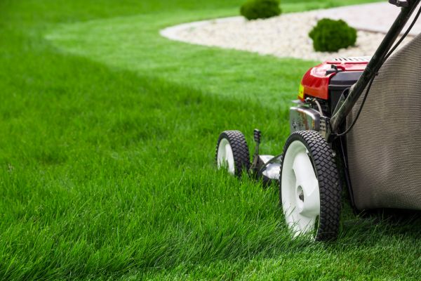 Residential Yard Mowing in Summerville