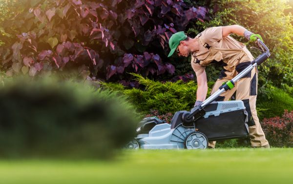Yard Care Service in Summerville