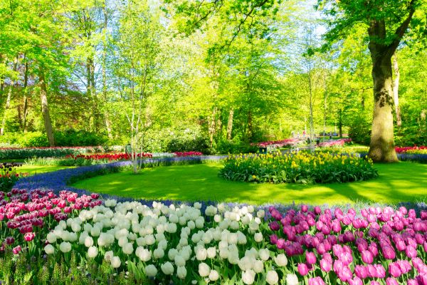 Cost of Spring Lawn Care in Summerville