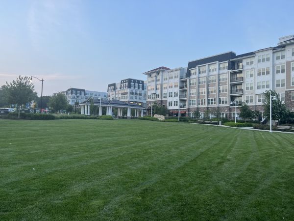 Cost of Urban Lawn Care in Summerville