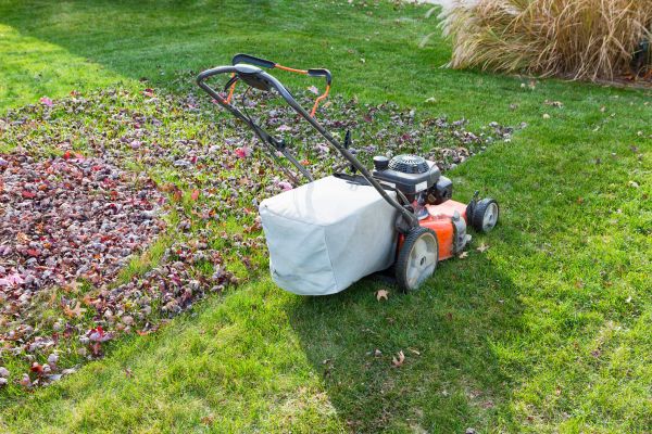 Seasonal Lawn Care in Summerville