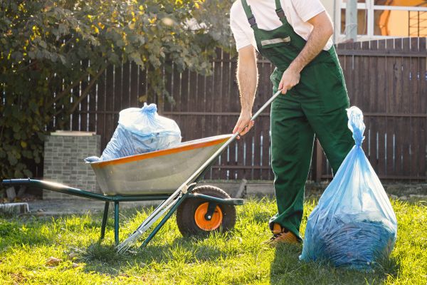 Yard Cleaning in Summerville