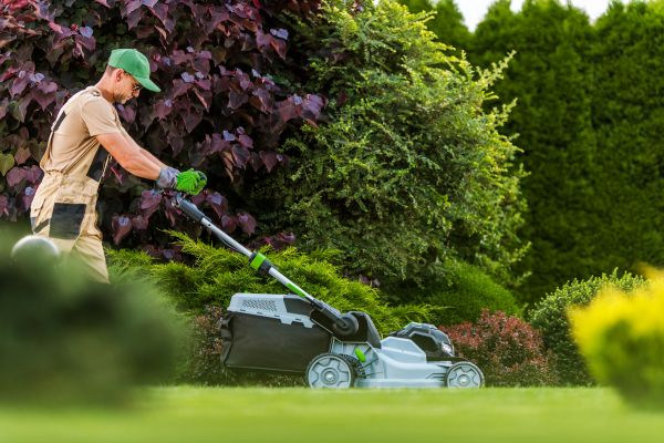 Lawn Management in Summerville