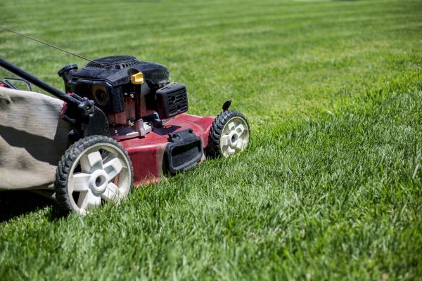 Routine Lawn Care in Summerville