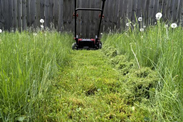 High Grass Mowing in Summerville