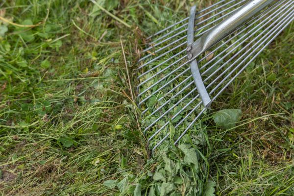 Thatch Raking in Summerville