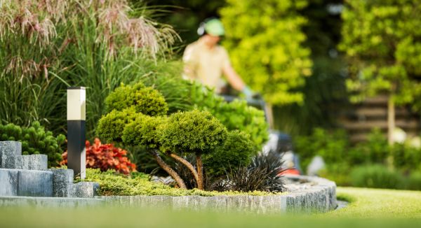 Residential Yard Maintenance in Summerville