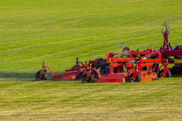 Industrial Lawn Service in Summerville