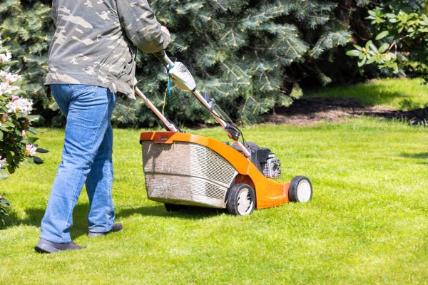 Springtime Lawn Care in Summerville