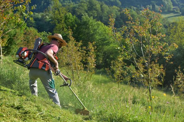 Slope Mowing in Summerville
