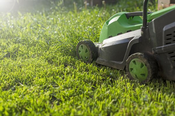 Recurring Lawn Maintenance