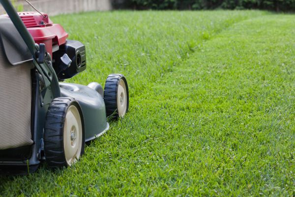 Cost of Spring Lawn Maintenance in Summerville