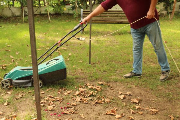 Leaves Mowing in Summerville