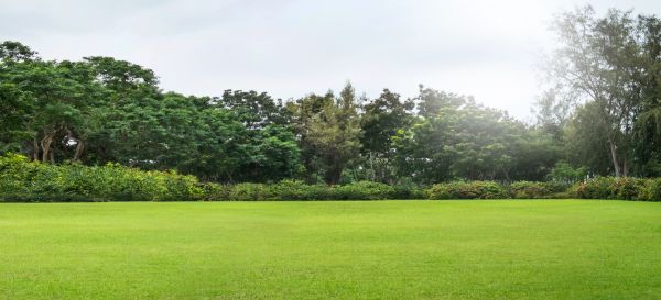 Golf Course Mowing in Summerville