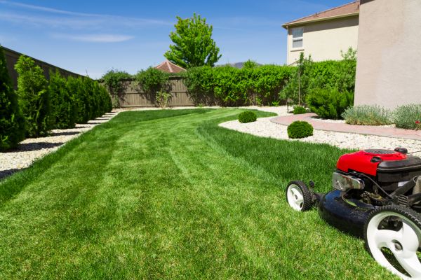 Residential Lawn Mowing in Summerville