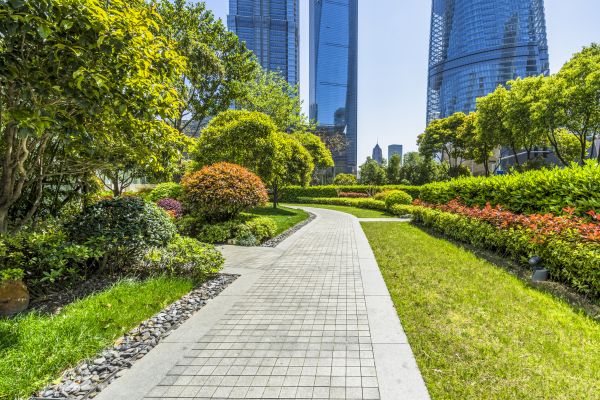 Commercial Landscaping