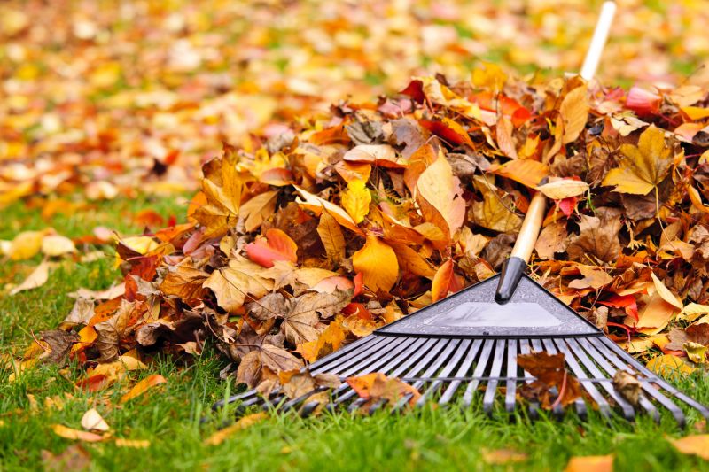 Tools Used in Fall Cleanup