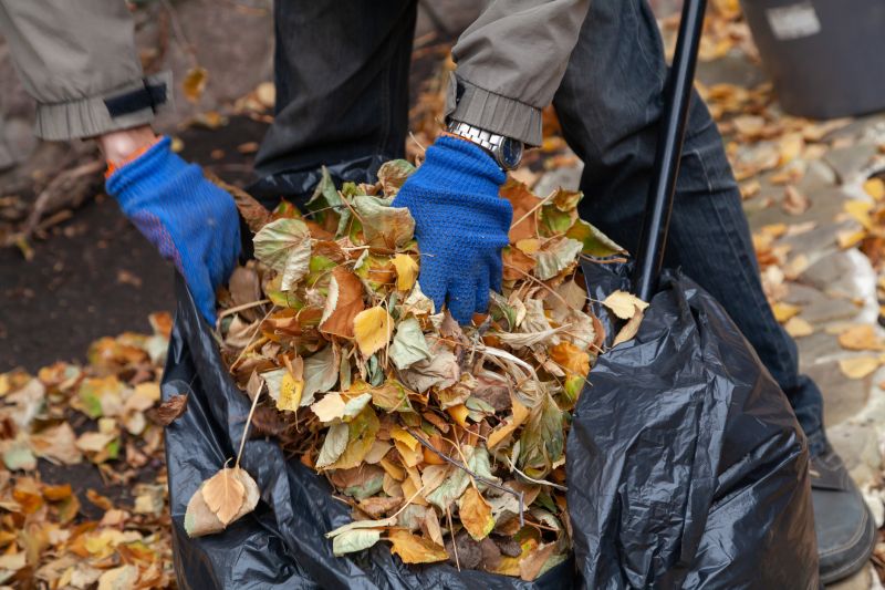 Fall Leaf Cleanup Process
