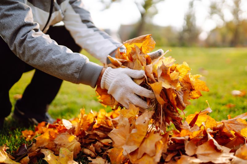 Collected Leaves Ready for Pickup