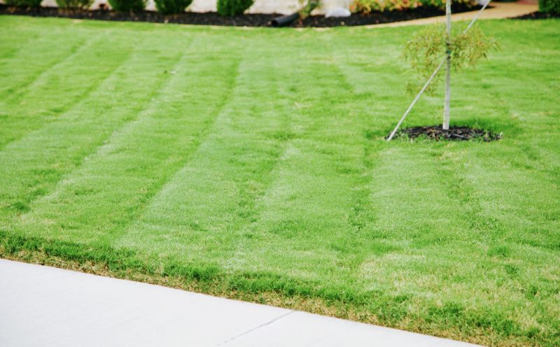 Completed Lawn with Edges